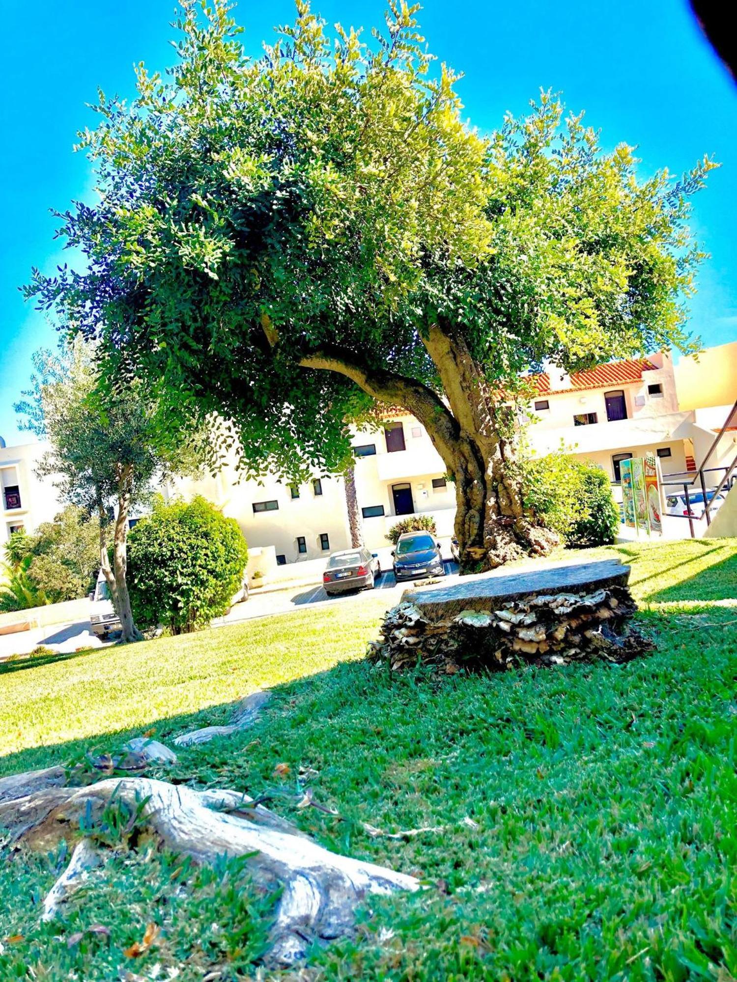 Albufeira Jardim - Apartamentos Turisticos Exteriör bild