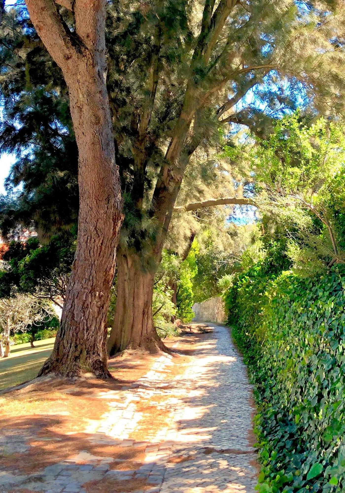 Albufeira Jardim - Apartamentos Turisticos Exteriör bild